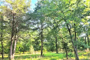 Lot 377 Timber Ridge, LaRue, TX 75770 - Photo 6