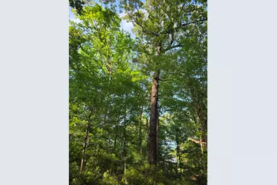 Lot 377 Timber Ridge, LaRue, TX 75770 - Photo 34