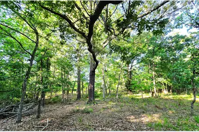 Lot 377 Timber Ridge, LaRue, TX 75770 - Photo 16