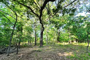 Lot 377 Timber Ridge, LaRue, TX 75770 - Photo 16