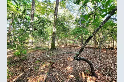 Lot 377 Timber Ridge, LaRue, TX 75770 - Photo 24