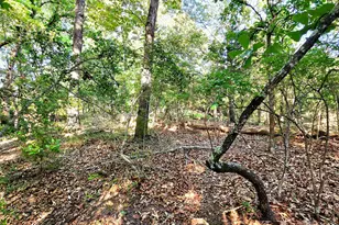 Lot 377 Timber Ridge, LaRue, TX 75770 - Photo 24
