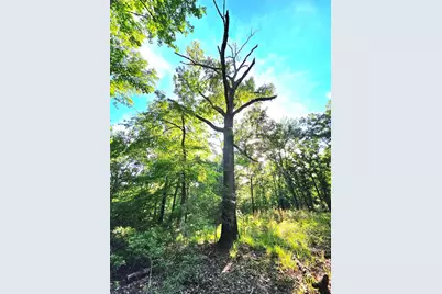 Lot 377 Timber Ridge, LaRue, TX 75770 - Photo 8