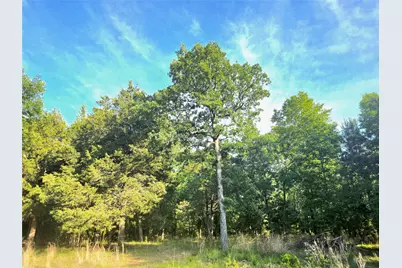 Lot 377 Timber Ridge, LaRue, TX 75770 - Photo 1