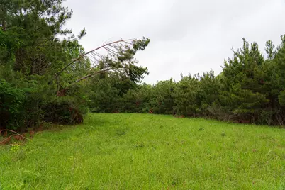 0 Cr 152, Carthage, TX 75633 - Photo 40