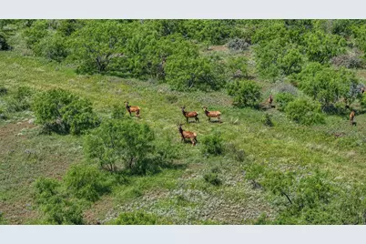 6025 Fm 504, Lohn, TX 76852 - Photo 32