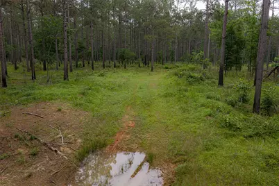 0 Cr 155, Long Branch, TX 75669 - Photo 10