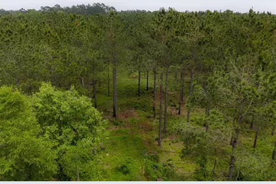 0 Cr 155, Long Branch, TX 75669 - Photo 38
