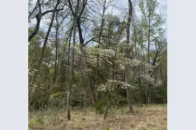 524 Fm 1848, Buffalo, TX 75831 - Photo 22