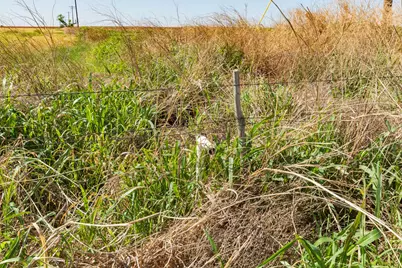 454 US Hwy 180, Roby, TX 79543 - Photo 6