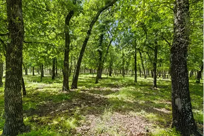 148 Arista Trail, Poolville, TX 76487 - Photo 38