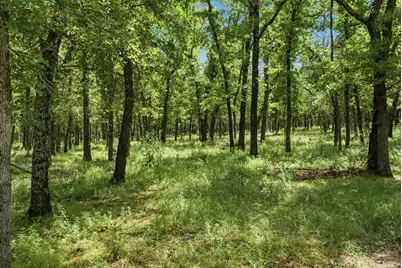 148 Arista Trail, Poolville, TX 76487 - Photo 40