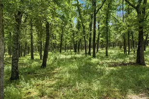148 Arista Trail, Poolville, TX 76487 - Photo 40