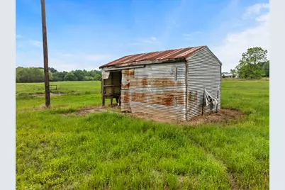 000 County Road 3322, Pittsburg, TX 75686 - Photo 6