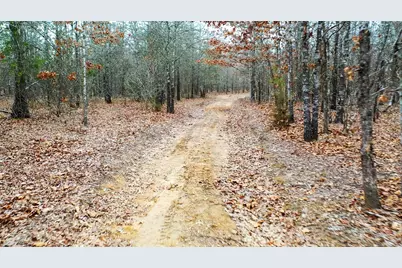1200 County Road 1255, Detroit, TX 75436 - Photo 1