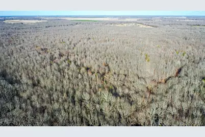 1200 County Road 1255, Detroit, TX 75436 - Photo 14