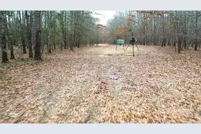 1200 County Road 1255, Detroit, TX 75436 - Photo 32