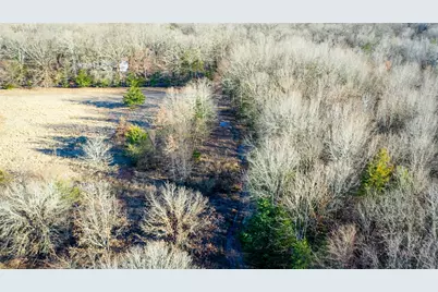 1200 County Road 1255, Detroit, TX 75436 - Photo 12