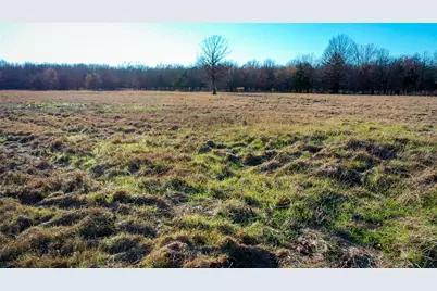 1200 County Road 1255, Detroit, TX 75436 - Photo 4