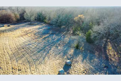 1200 County Road 1255, Detroit, TX 75436 - Photo 10