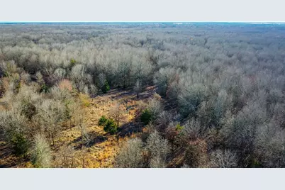 1200 County Road 1255, Detroit, TX 75436 - Photo 28