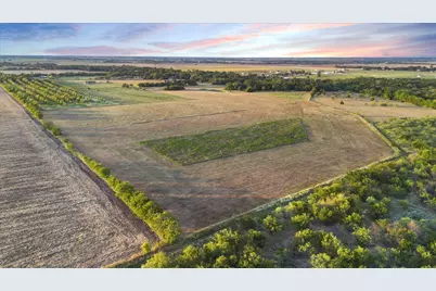 Tbd Holder Road, Waxahachie, TX 75165 - Photo 8