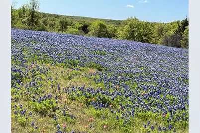 784 Fm 2953, Nocona, TX 76255 - Photo 6