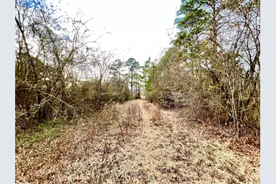 00 Pine Street, Heflin, LA 71039 - Photo 12