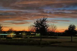 4428 Sunflower Ln, Celina, TX 75078 - Photo 4