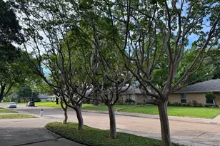 6311 Danbury Ln, Dallas, TX 75214 - Photo 6