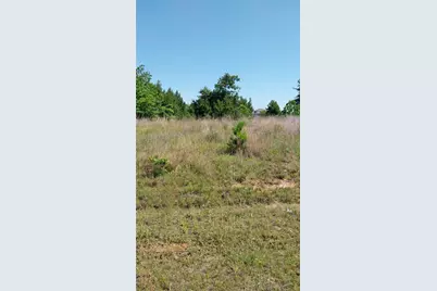 1715 Road 5729, Cleveland, TX 77327 - Photo 4