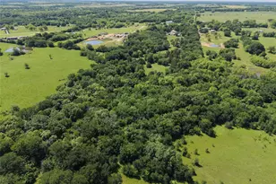 3700 Co Rd 4040, Whitewright, TX 75491 - Photo 4