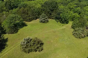 3700 Co Rd 4040, Whitewright, TX 75491 - Photo 6