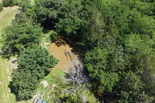 3700 Co Rd 4040, Whitewright, TX 75491 - Photo 8