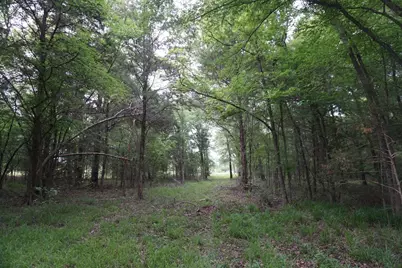 Tbd2 County Road 1200, Malakoff, TX 75148 - Photo 28