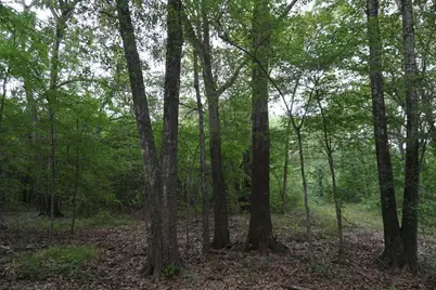 Tbd2 County Road 1200, Malakoff, TX 75148 - Photo 26