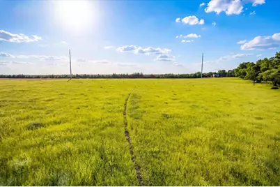14991 Cr 1100, Blue Ridge, TX 75424 - Photo 16