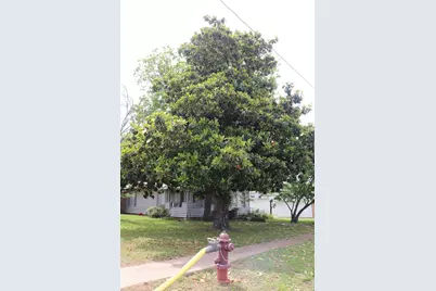 210 E Roberts Street, Gorman, TX 76454 - Photo 26