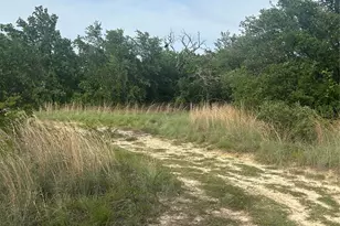 186 Pr 3873, Poolville, TX 76487 - Photo 1