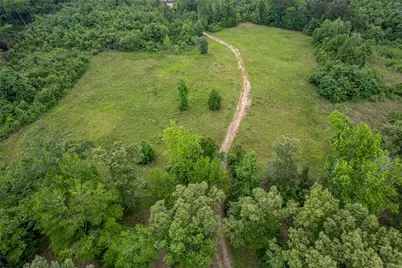 23050 County Road 244, Overton, TX 75684 - Photo 8