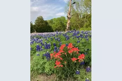 821 Ewing Road, Ferris, TX 75125 - Photo 36