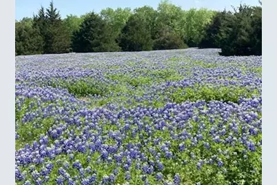 821 Ewing Road, Ferris, TX 75125 - Photo 2