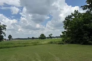 1014 Greenwood St, Winnsboro, TX 75494 - Photo 24