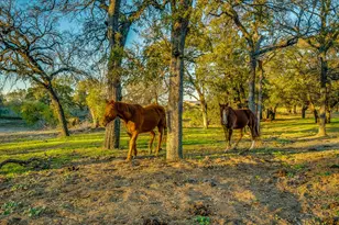 109 Tango Rd, Weatherford, TX 76087 - Photo 36