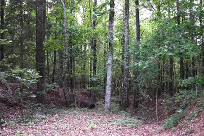 4027 Hwy 518, Athens, LA 71003 - Photo 8
