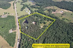 3236 Farm Rd 3019, Winnsboro, TX 75494 - Photo 4