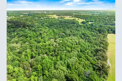Tbd Vz County Road 2205, Canton, TX 75103 - Photo 16
