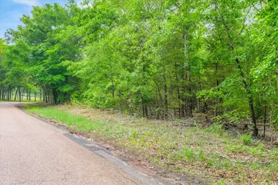 Tbd Vz County Road 2205, Canton, TX 75103 - Photo 10