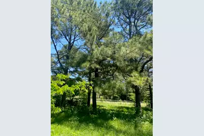 2031 Private Road 1183, Farmersville, TX 75442 - Photo 20