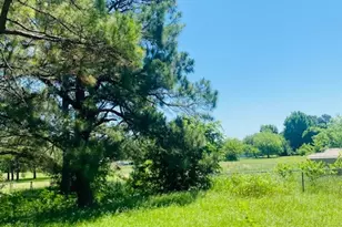 2031 Private Rd 1183, Farmersville, TX 75442 - Photo 20